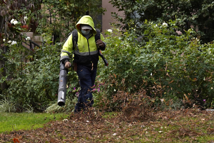 The problem with leaf blowers — and what you can do instead